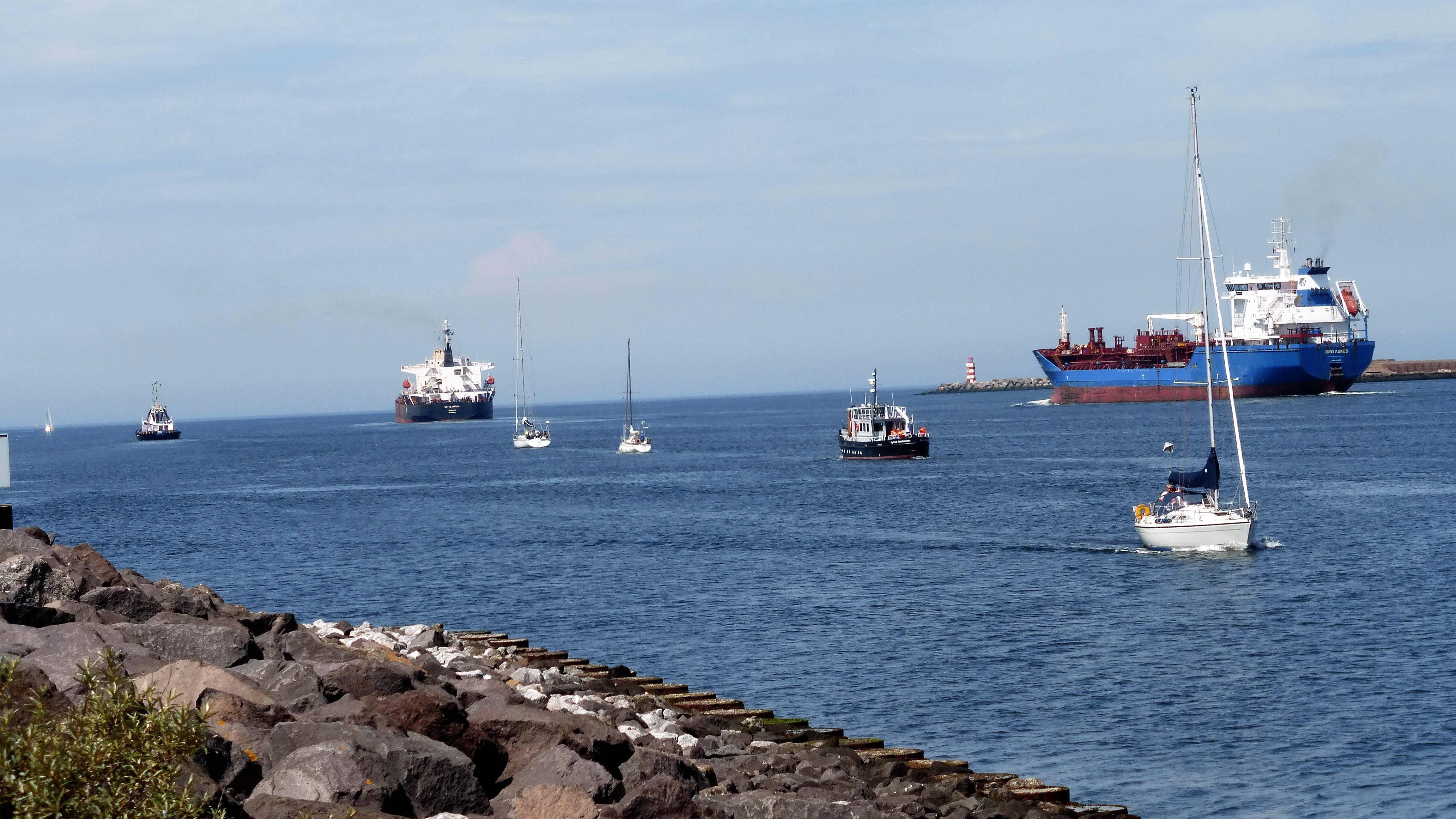 Pieren IJmuiden 06-07-17 